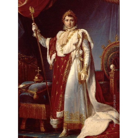 The french emperor Napoleon in coronation robes from a painting by François Gérard