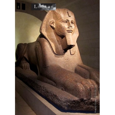 Le Sphinx de Tanis découvert dans les ruines du temple de Amon-Rê à Tanis en 1825