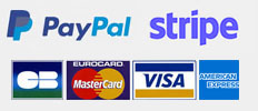 PayPal Stripe Secure payment